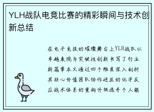 YLH战队电竞比赛的精彩瞬间与技术创新总结